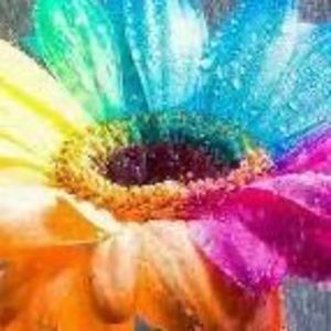 Meet your Posher, Kay